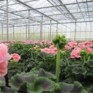 VOORJAAR (april t/m juni)