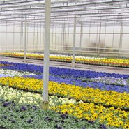 NAJAAR (september t/m november)