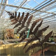 Decoroest tuindecoratie