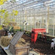 overige tuincadeau's