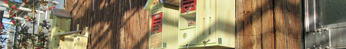 Tuinvogels & insecten