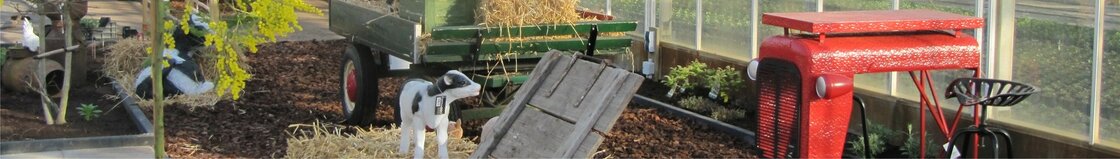 overige tuincadeau's