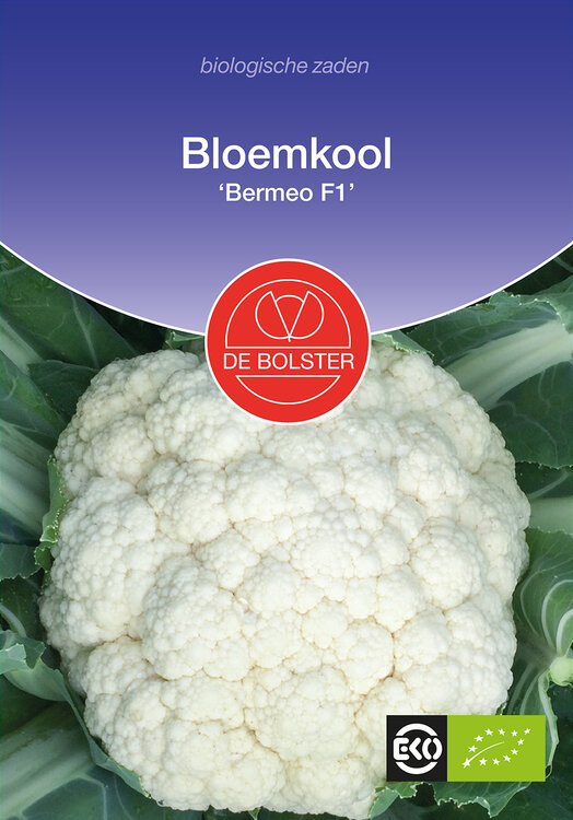 Bloemkool &#039;Bermeo F1&#039;