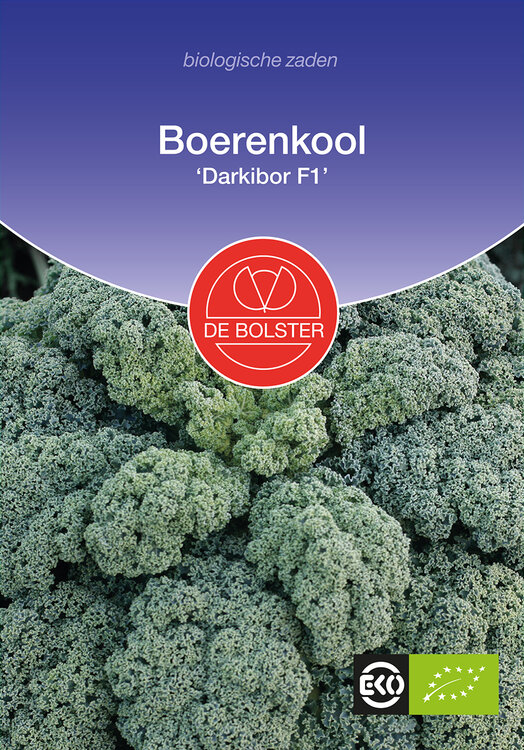 Boerenkool &#039;Darkibor F1&#039;