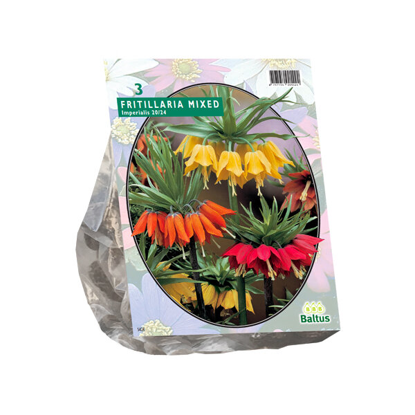 Fritillaria Imperialis, mix