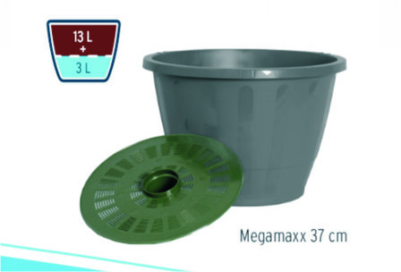 Megamaxx 37