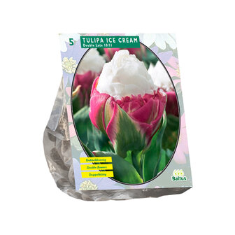 Tulipa Ice Cream