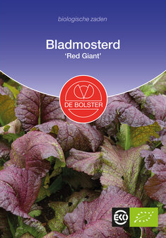 Bladmosterd &#039;Red Giant&#039;