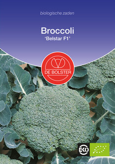 Broccoli &#039;Belstar F1&#039;