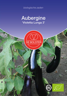 Aubergine &#039;Violetta Lunga 3&#039;