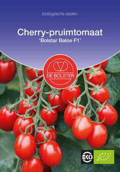 Tomaat-cherry &#039;Bolstar Baloe F1&#039;