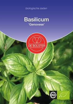 Basilicum &#039;Genovese&#039;