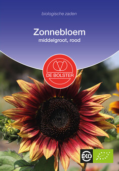 Zonnebloem, middelgroot, rood