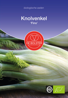 Knolvenkel &#039;Fino&#039;