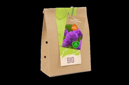BIO - Allium Purple Sensation