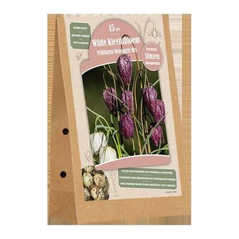 Stinzen - Fritillaria Meleagris Mix