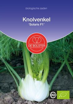 Knolvenkel &#039;Solaris F1&#039;