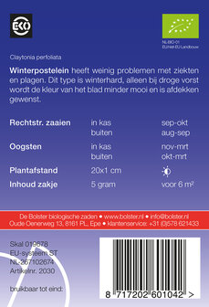 Winterpostelein