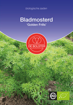Bladmosterd &#039;Golden Frills&#039;