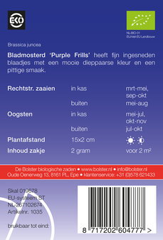 Bladmosterd &#039;Purple Frills&#039;