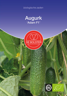 Augurk &#039;Adam F1&#039;