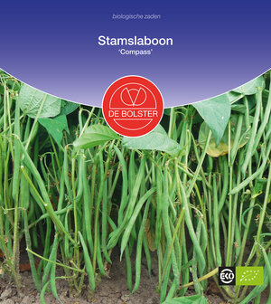 Stamslaboon &#039;Compass&#039;