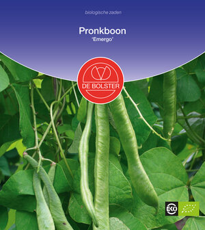 Pronkboon &#039;Emergo&#039;