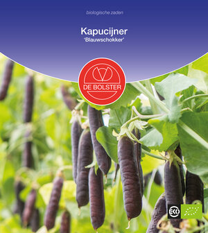 Kapucijner &#039;Blauwschokker&#039;