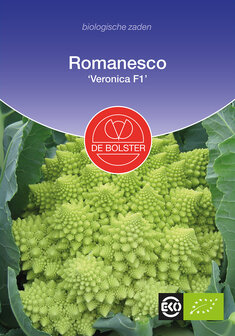 Romanesco &#039;Veronica F1&#039;