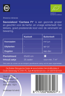 Savooiekool &#039;Cantasa F1&#039;