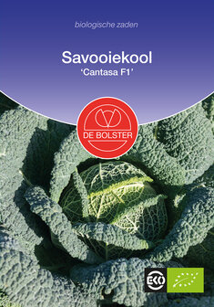 Savooiekool &#039;Cantasa F1&#039;