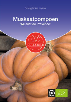 Pompoen-muskaat &#039;Muscat de Provence&#039;