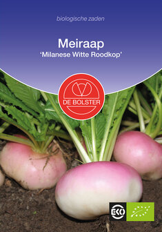 Meiraap &#039;Milanese Witte Roodkoop&#039;