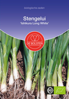 Ui-stengel &#039;Ishikura Long White&#039;