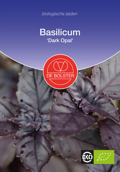 Basilicum &#039;Dark Opal&#039;