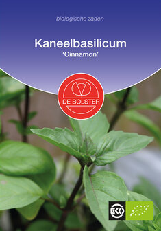 Basilicum-kaneel &#039;Cinnamon&#039;