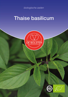 Basilicum-thaise