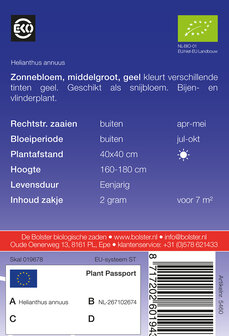 Zonnebloem, middel, geel