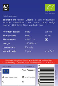 Zonnebloem &#039;Velvet Queen&#039;