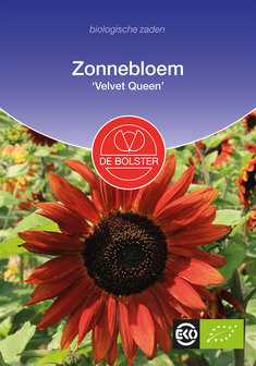 Zonnebloem &#039;Velvet Queen&#039;
