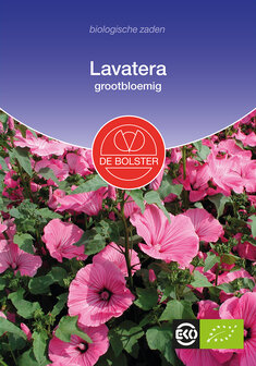 Lavatera, grootbloemig