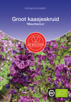 Groot kaasjeskruid &lsquo;Mauritanica&#039;