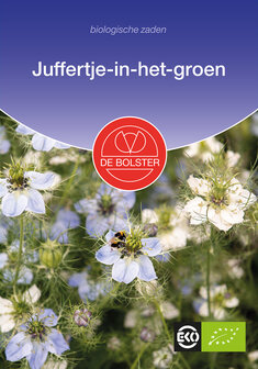 Juffertje-in-het-groen