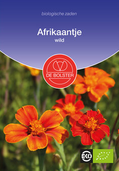 Afrikaantje, wild