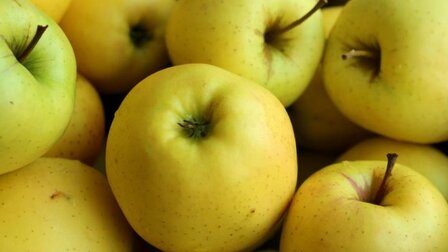 Leivorm appel Golden Delicious