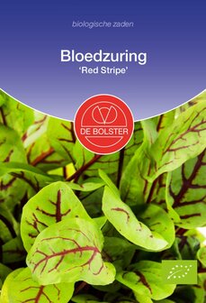 Bloedzuring &#039;Red Stripe&#039;