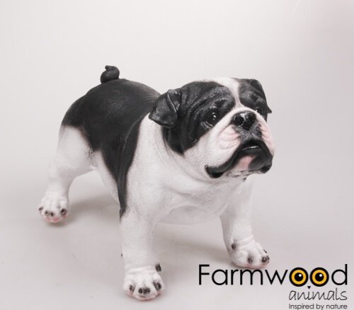 Hond engelse bulldog (Merk: Farmwood)