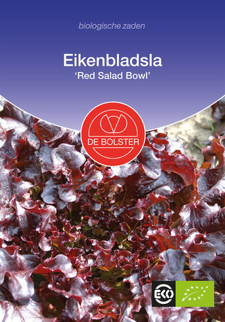 Eikenbladsla 'Red Salad Bowl'