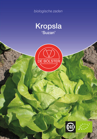 Kropsla 'Suzan'