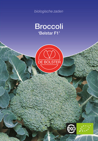 Broccoli 'Belstar F1'